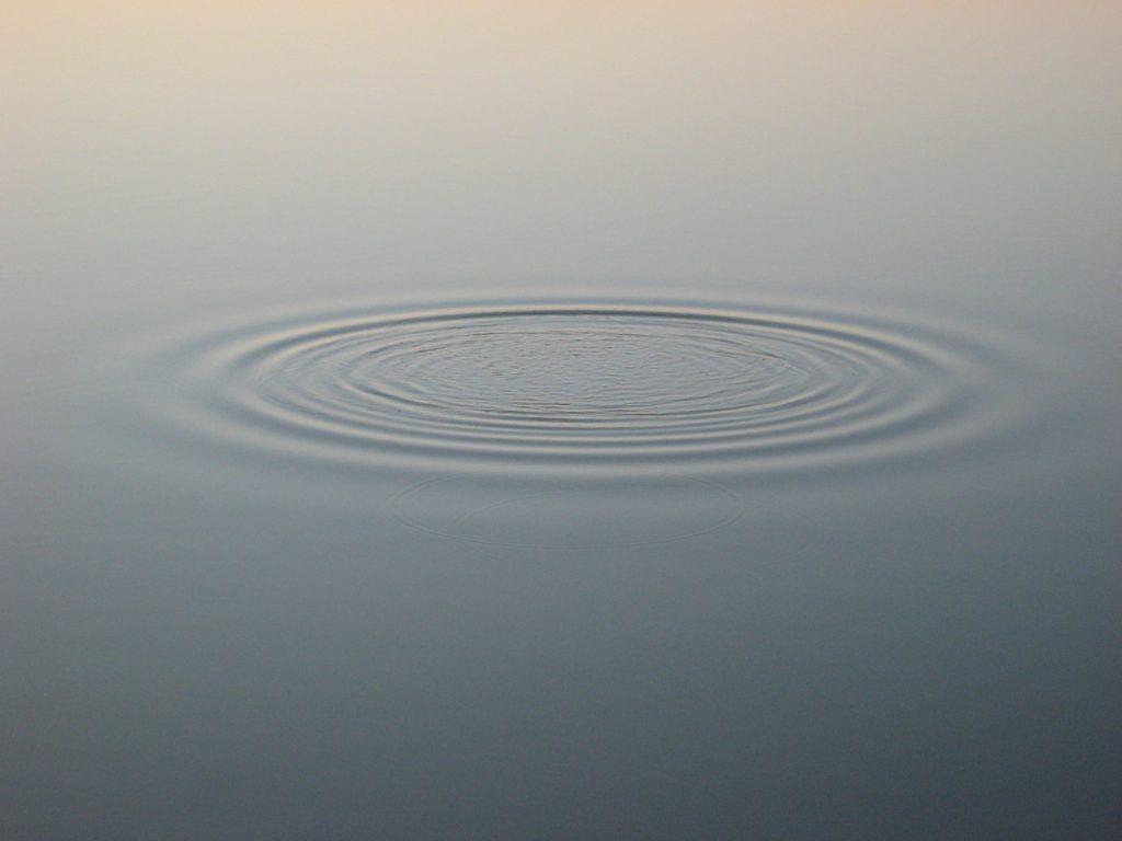 Eine Welle auf einer Wasseroberfläche vor braunem Himmel.